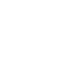 TLC、DOT罚单